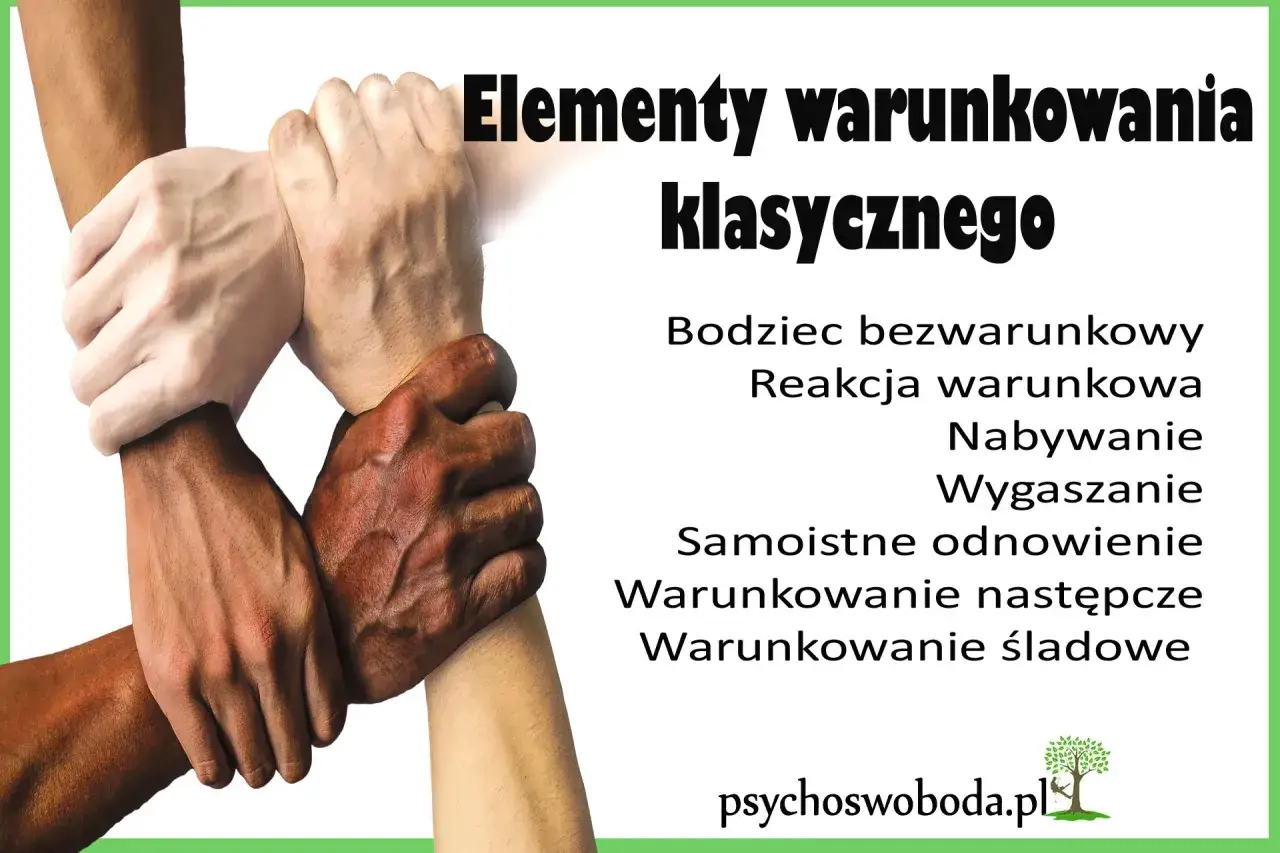 Elementy warunkowania klasycznego, czyli behawioryzm co to. Ręce splecione w geście wsparcia, obok lista kluczowych pojęć.
