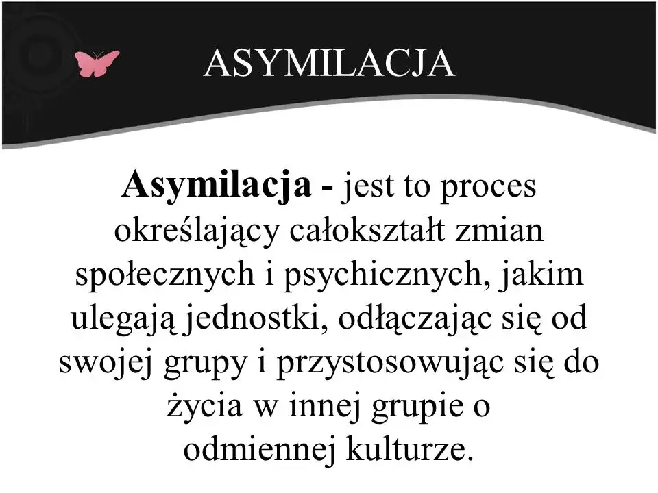 Zdjęcie Asymilacja co to? Definicja i znaczenie w różnych kontekstach